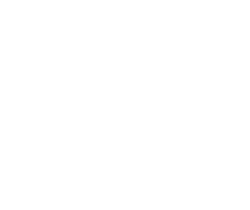 tricelytex